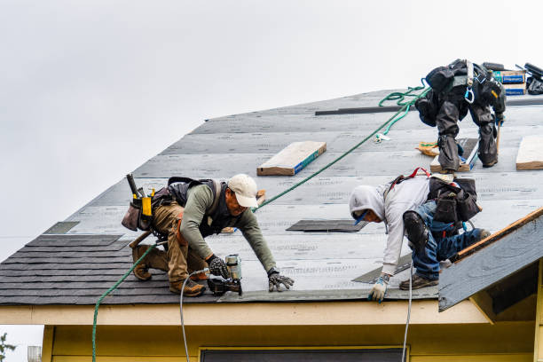 Professional Storm Damage Roof Repair technician working in Oysterville, WA
